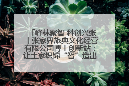 峰林聚智 科创兴张丨张家界旅典文化经营有限公司博士创新站：让土家织锦“智”造出非遗新传奇