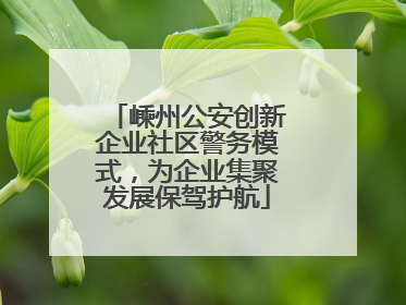嵊州公安创新企业社区警务模式，为企业集聚发展保驾护航