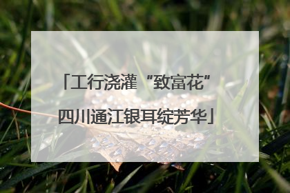 工行浇灌“致富花” 四川通江银耳绽芳华