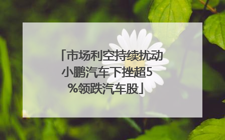 市场利空持续扰动 小鹏汽车下挫超5%领跌汽车股