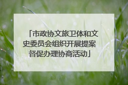 市政协文旅卫体和文史委员会组织开展提案督促办理协商活动