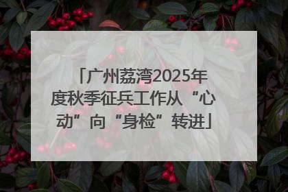 广州荔湾2025年度秋季征兵工作从“心动”向“身检”转进