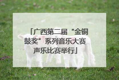 广西第二届“金铜鼓奖”系列音乐大赛声乐比赛举行