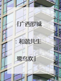 广西罗城：和谐共生鹭鸟欢