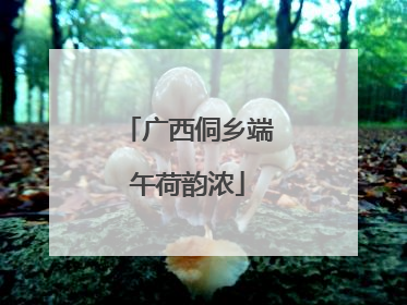 广西侗乡端午荷韵浓