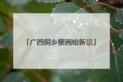 广西侗乡壁画绘新景