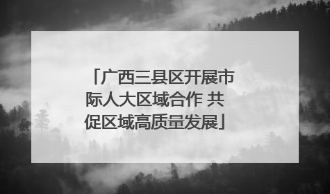 广西三县区开展市际人大区域合作 共促区域高质量发展