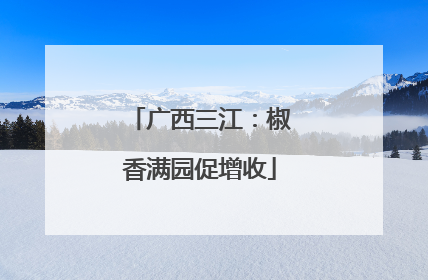 广西三江：椒香满园促增收