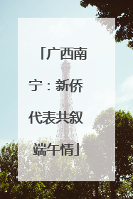 广西南宁：新侨代表共叙端午情