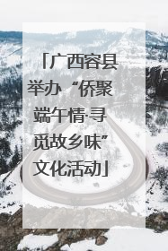 广西容县举办“侨聚端午情·寻觅故乡味”文化活动