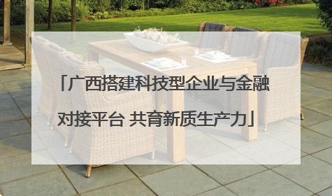 广西搭建科技型企业与金融对接平台 共育新质生产力