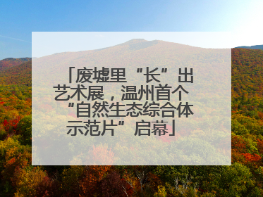 废墟里“长”出艺术展，温州首个“自然生态综合体示范片”启幕