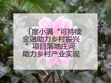 度小满“可持续金融助力乡村振兴”项目落地庄河 助力乡村产业实现绿色转型