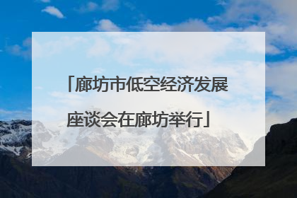 廊坊市低空经济发展座谈会在廊坊举行
