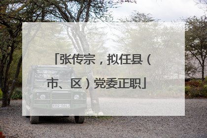 张传宗，拟任县（市、区）党委正职