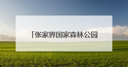 张家界国家森林公园天子山门票站开展“粽情端午·乐游张家界”主题宠客活动