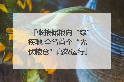 张掖储粮向“绿”疾驰 全省首个“光伏粮仓”高效运行