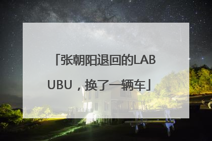 张朝阳退回的LABUBU，换了一辆车
