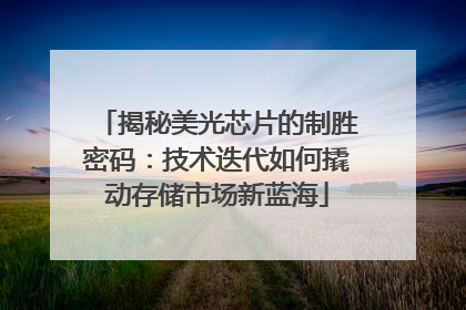 揭秘美光芯片的制胜密码：技术迭代如何撬动存储市场新蓝海