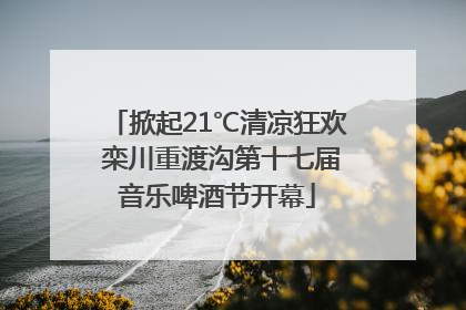 掀起21℃清凉狂欢 栾川重渡沟第十七届音乐啤酒节开幕