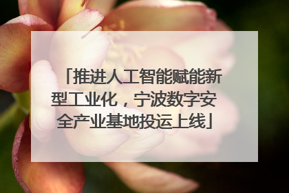 推进人工智能赋能新型工业化，宁波数字安全产业基地投运上线