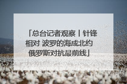 总台记者观察丨针锋相对 波罗的海成北约俄罗斯对抗最前线