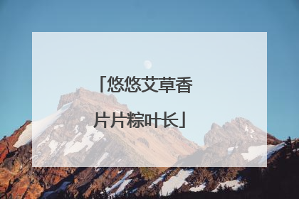 悠悠艾草香 片片粽叶长