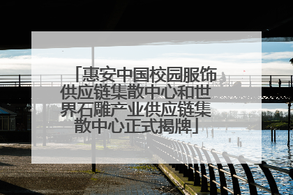 惠安中国校园服饰供应链集散中心和世界石雕产业供应链集散中心正式揭牌