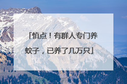 慎点！有群人专门养蚊子，已养了几万只
