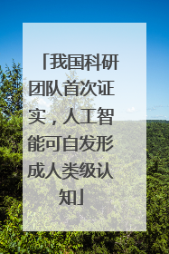 我国科研团队首次证实，人工智能可自发形成人类级认知