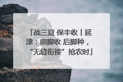 战三夏 保丰收丨延津：前脚收 后脚种，“无缝衔接”抢农时