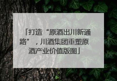 打造“原酒出川新通路”，川酒集团重塑原酒产业价值版图
