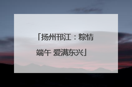 扬州邗江：粽情端午 爱满东兴