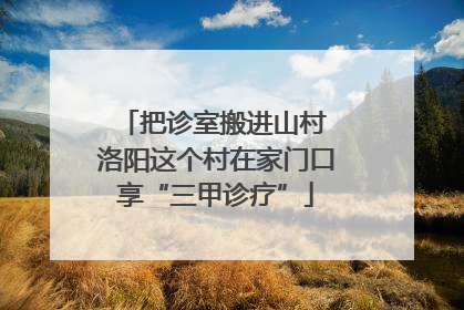 把诊室搬进山村 洛阳这个村在家门口享“三甲诊疗”