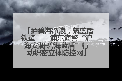 护碧海净浪，筑蓝盾铁壁——浦东海警“沪海安澜·碧海蓝盾”行动织密立体防控网