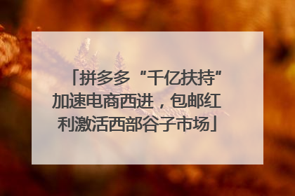 拼多多“千亿扶持”加速电商西进，包邮红利激活西部谷子市场