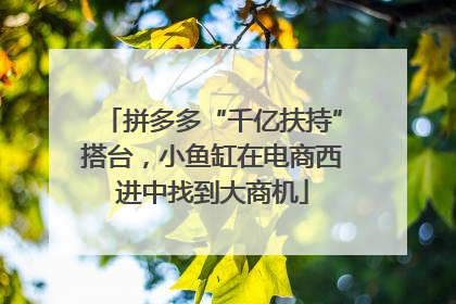 拼多多“千亿扶持”搭台，小鱼缸在电商西进中找到大商机