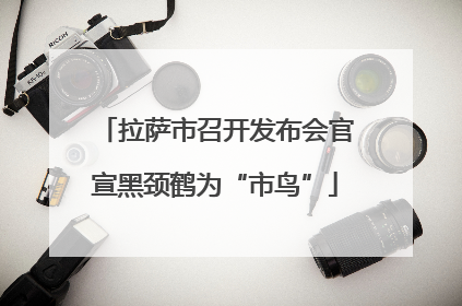 拉萨市召开发布会官宣黑颈鹤为“市鸟”
