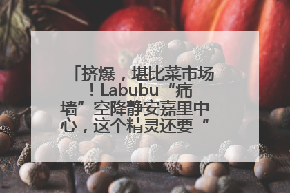 挤爆，堪比菜市场！Labubu“痛墙”空降静安嘉里中心，这个精灵还要“突袭”便利店？