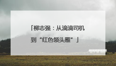 柳志强：从滴滴司机到“红色领头雁”