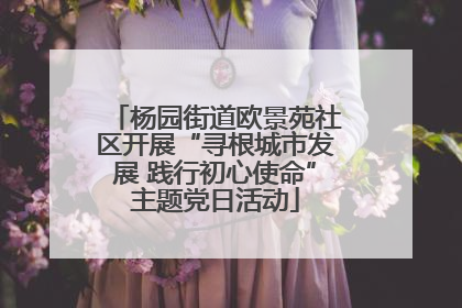 杨园街道欧景苑社区开展“寻根城市发展 践行初心使命”主题党日活动