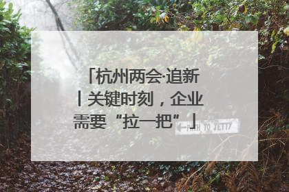 杭州两会·追新丨关键时刻，企业需要“拉一把”