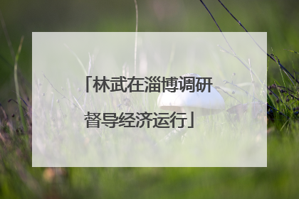 林武在淄博调研督导经济运行