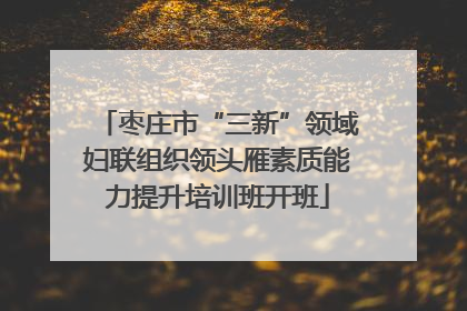 枣庄市“三新”领域妇联组织领头雁素质能力提升培训班开班