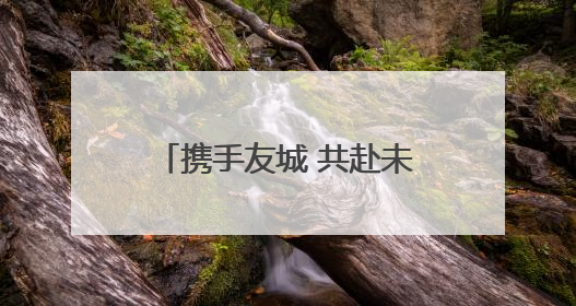携手友城 共赴未来 2025黄河口国际友城合作交流会在东营市成功举办