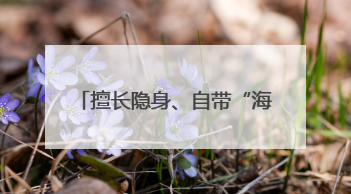 擅长隐身、自带“海狸尾” 彩虹-7无人机究竟有多牛？