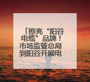 擦亮“阳谷电缆”品牌！市场监管总局到阳谷开展电线电缆专题调研