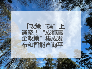 政策“码”上通晓！“成都惠企政策”集成发布和智能查询平台今日上线
