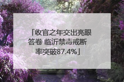 收官之年交出亮眼答卷 临沂禁毒戒断率突破87.4%