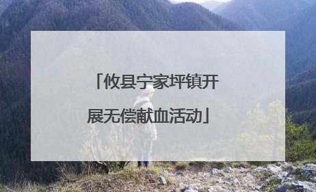 攸县宁家坪镇开展无偿献血活动
